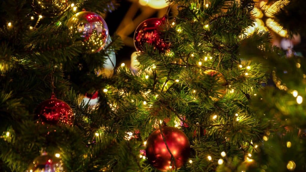 Christmas tree and Christmas decorations / things to Christmas birmingham