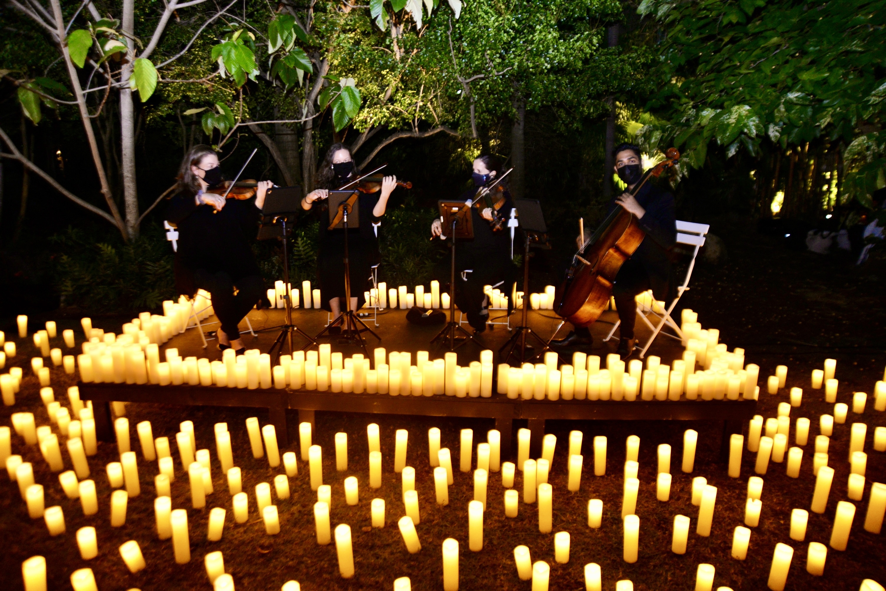 musicians playing in Birmingham Botanical Gardens