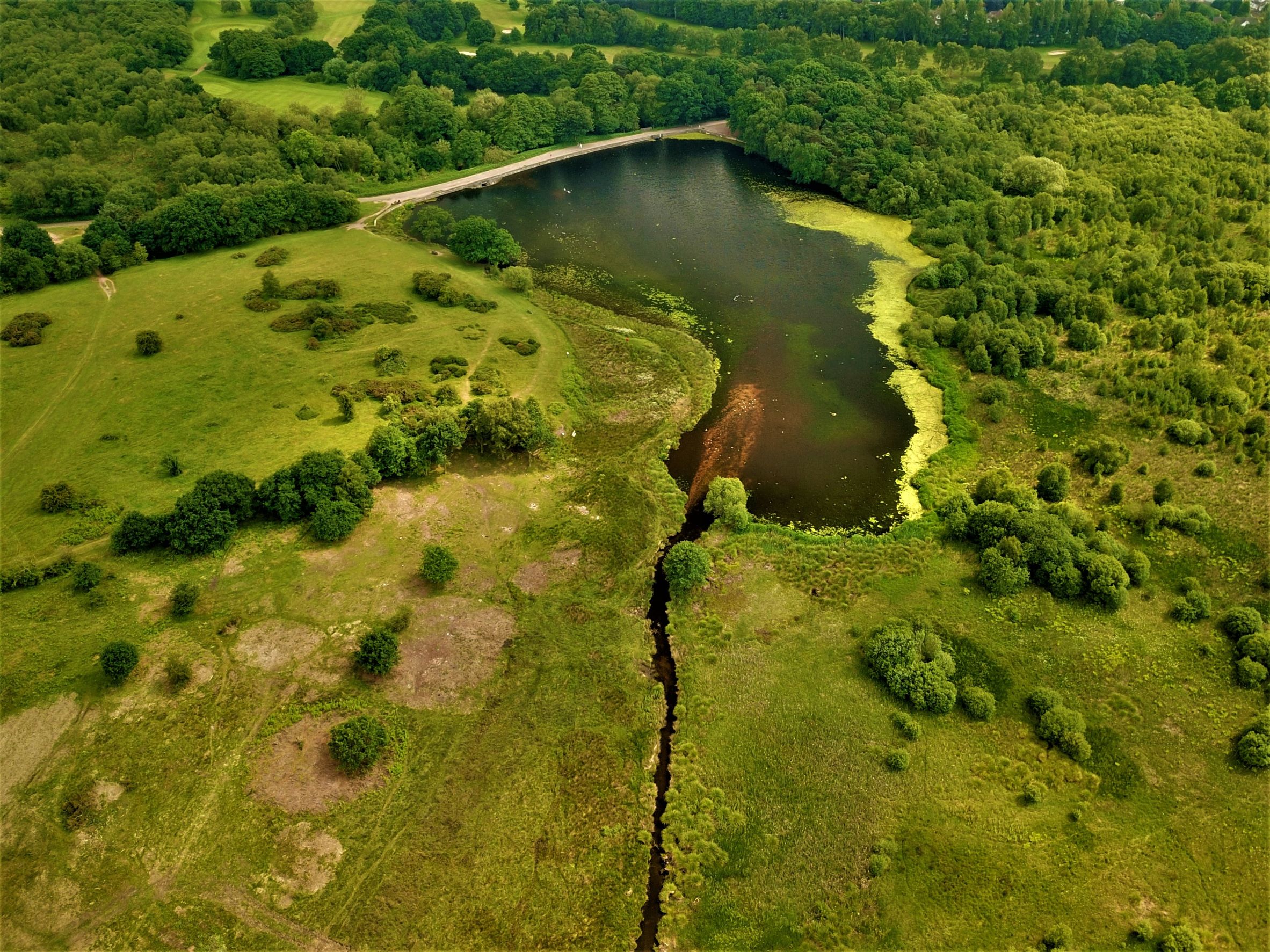 Overview of Sutton Park, one of the Birmingham favourite parks