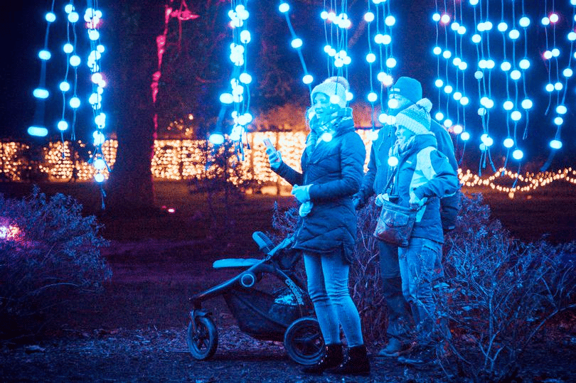 People stood among Christmas lights in Birmingham
