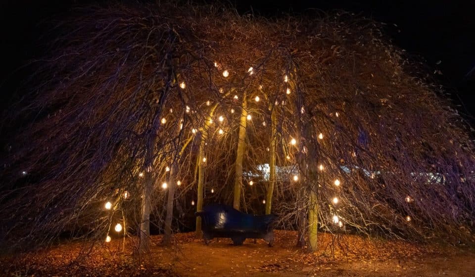 This Stunning Christmas Lights Trail Through Award-Winning Gardens Is Less Than An Hour From Birmingham