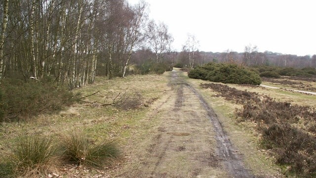 Looking north east. The 1.5 mile section of the Roman road that runs through Sutton Park is one of the best preserved in the country, clearly showing the constructional features typical of roads in this part of the empire. This section of road linked the forts at Metchley (Birmingham) and Wall near Lichfield.