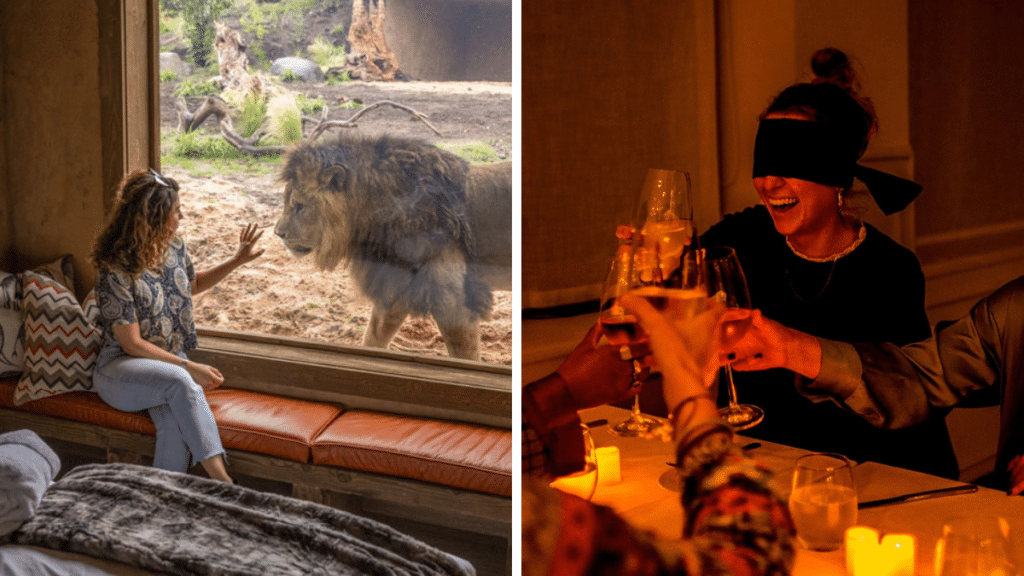 Two immersive experiences in Birmingham, Lion Lodges and Dining in the Dark