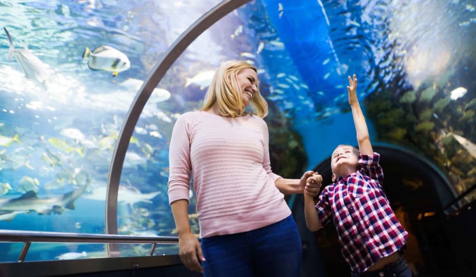 10 Of The Best Things To Do With Kids In Birmingham For A Fun-Filled Adventure