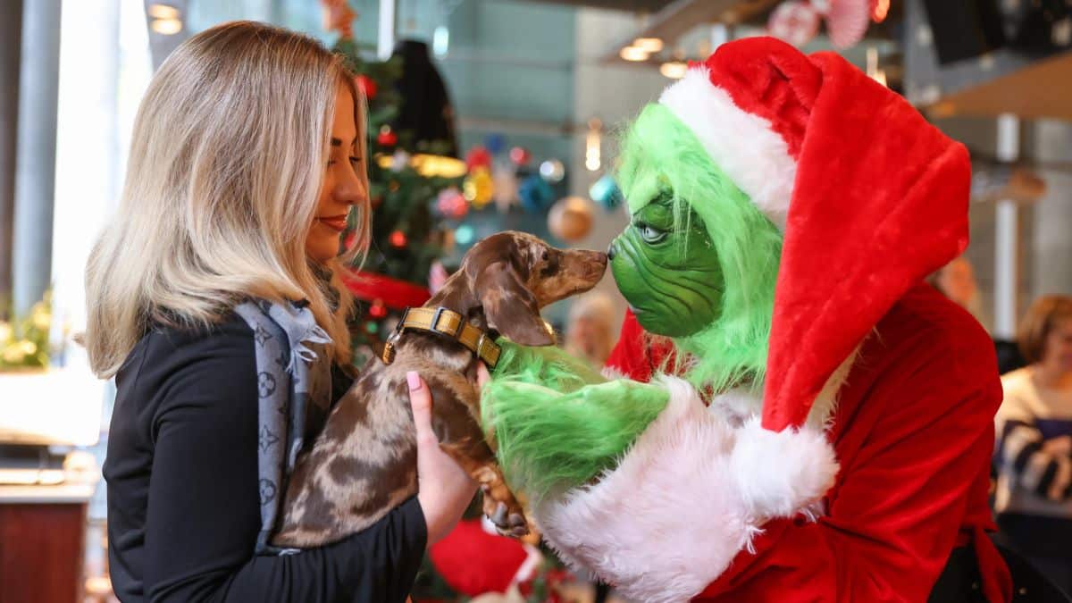 The Grinch nose-to-nose with a dachshund 